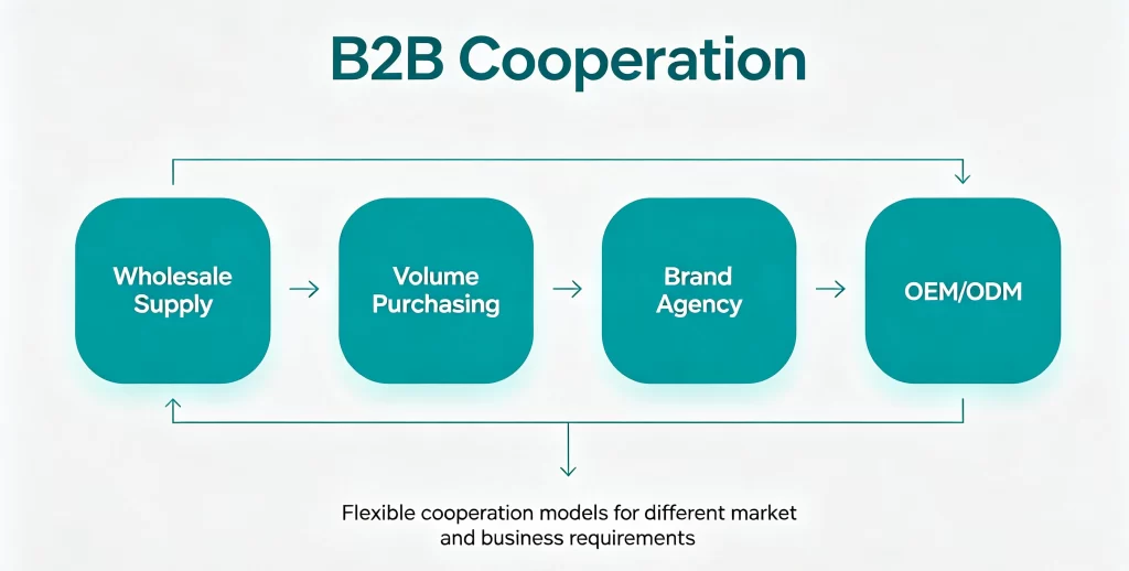 Sunpal B2B cooperation model flowchart showing wholesale supply, volume purchasing, brand agency, and OEM/ODM options